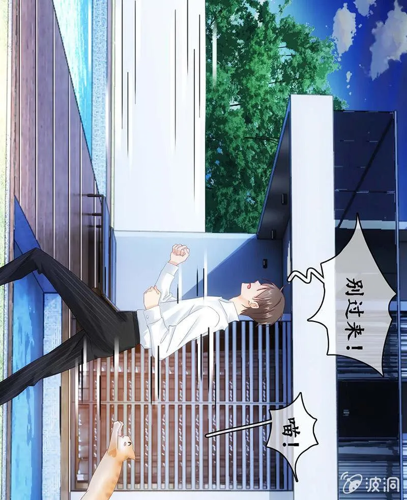 猫咪神助攻来也！！！ 第18页