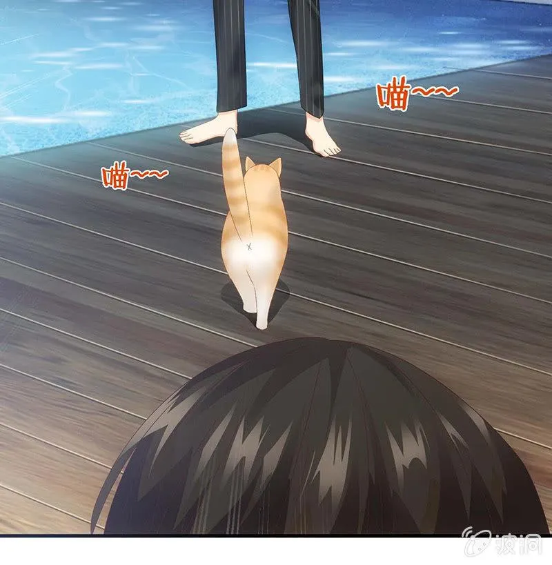猫咪神助攻来也！！！ 第21页