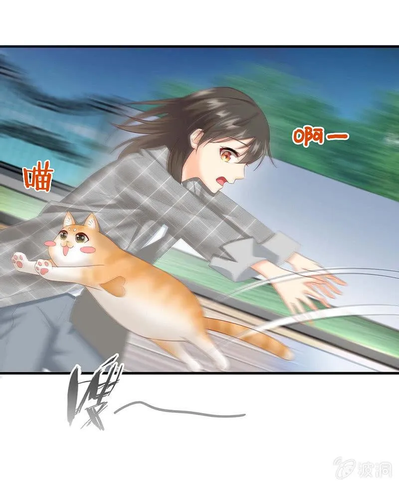 猫咪神助攻来也！！！ 第22页