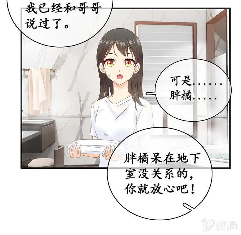 猫咪神助攻来也！！！ 第39页