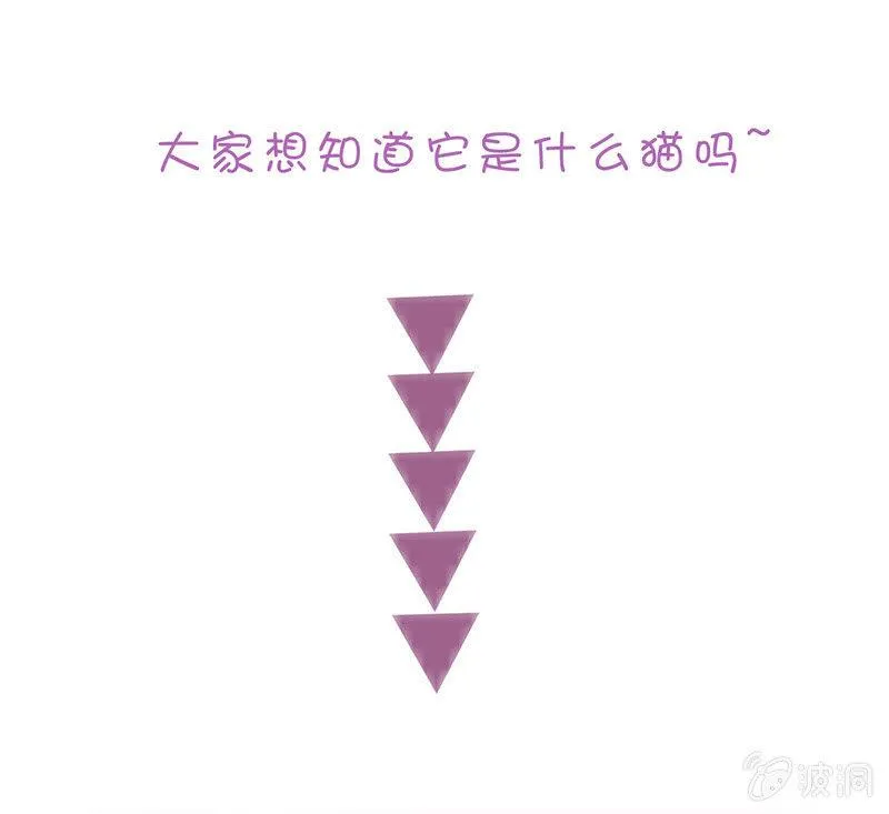 猫咪神助攻来也！！！ 第55页