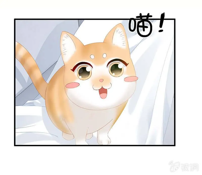 学长家充满了惊喜 第19页