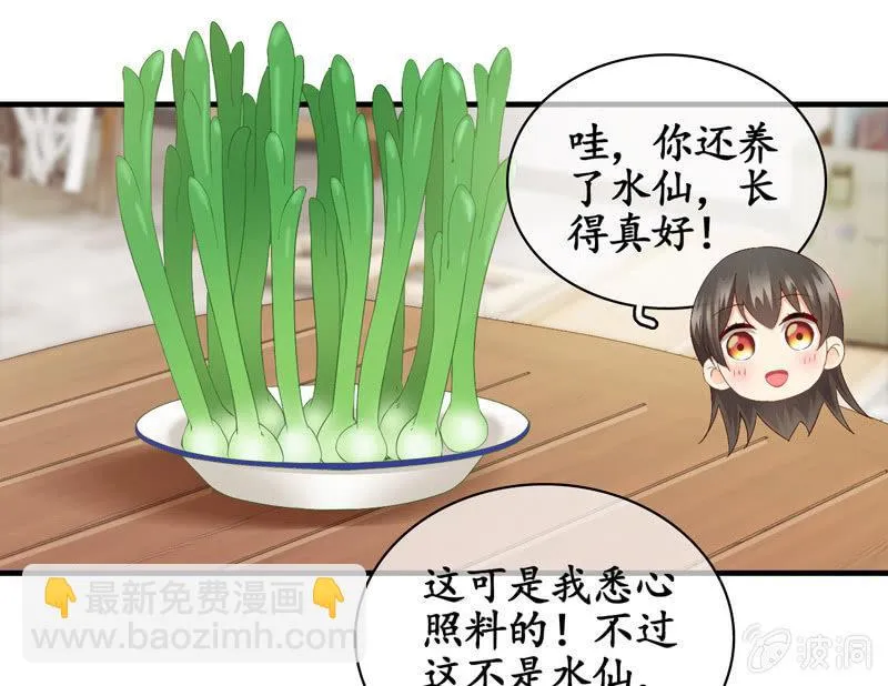 江南我回来了！ 第12页