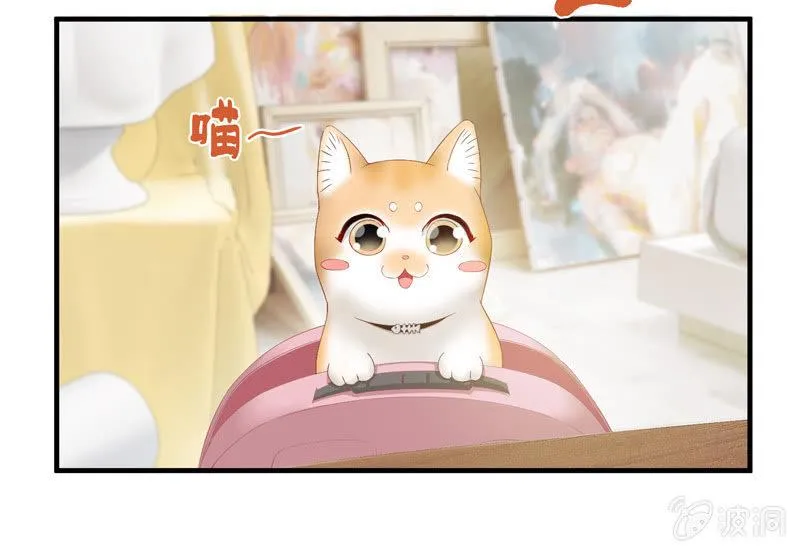 江南我回来了！ 第27页
