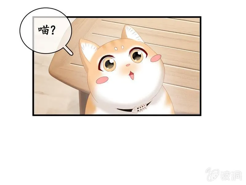 江南我回来了！ 第34页