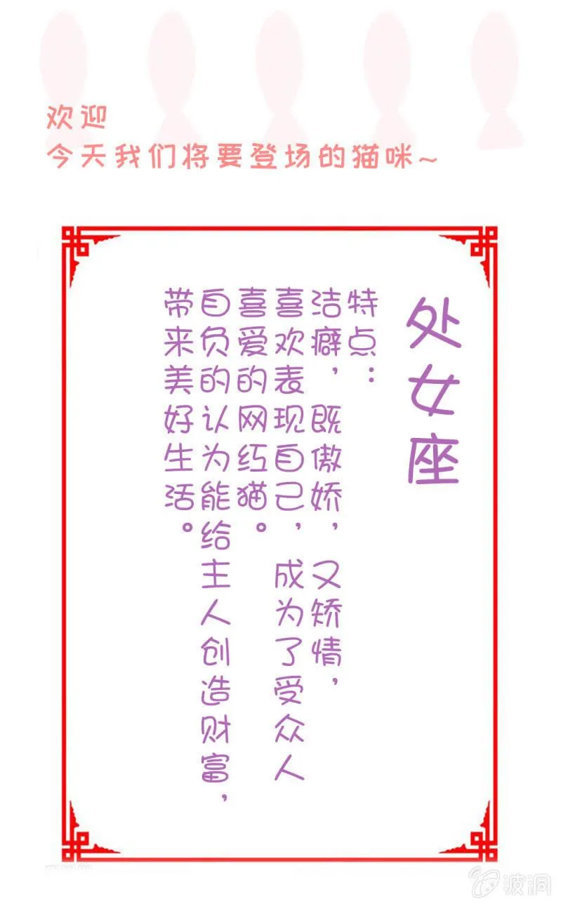 江南我回来了！ 第53页