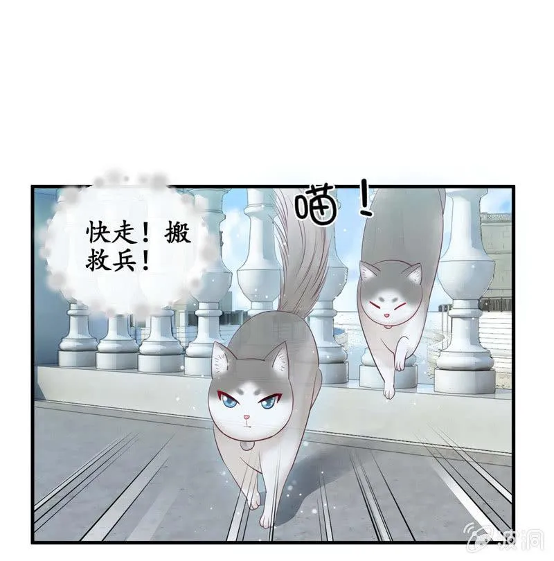 妹妹陷入危机了 第41页