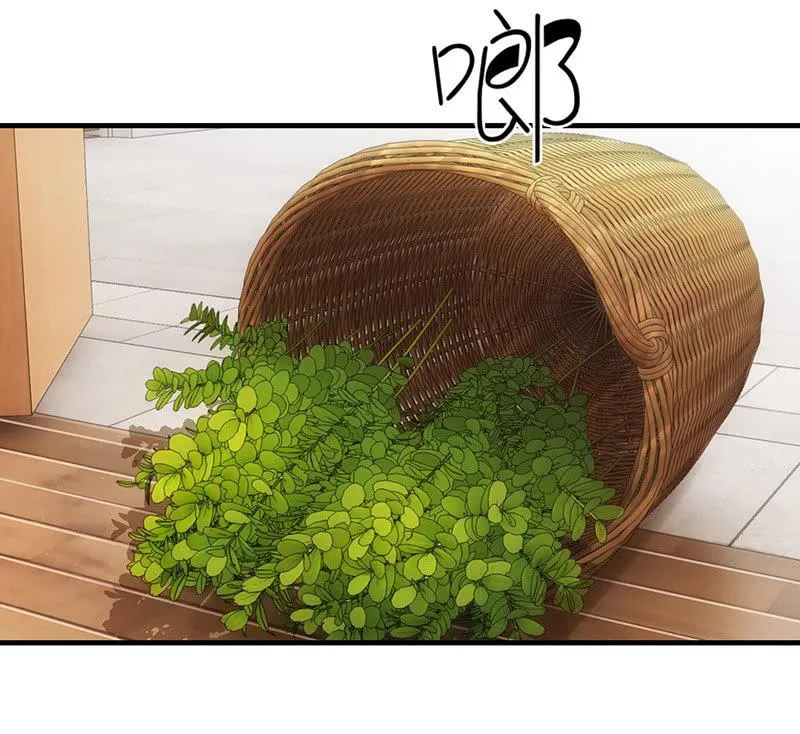 信 第36页