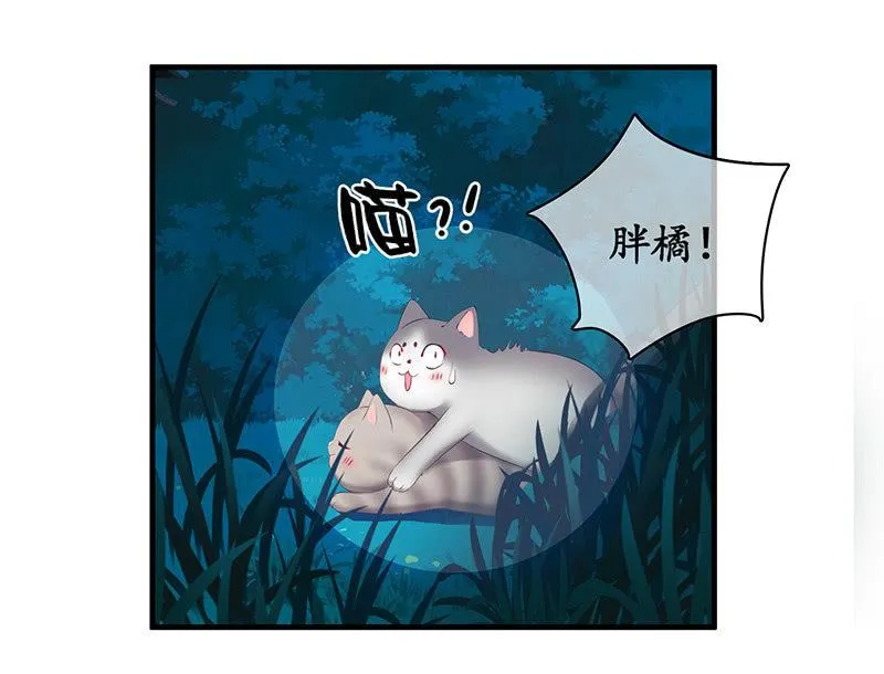 各自的想法 第26页