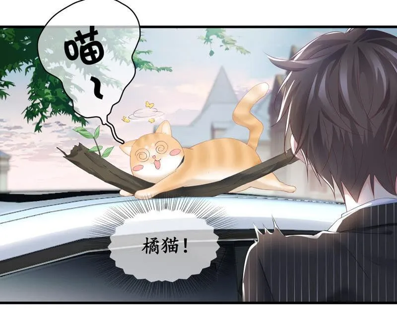 找到橘猫啦！ 第31页