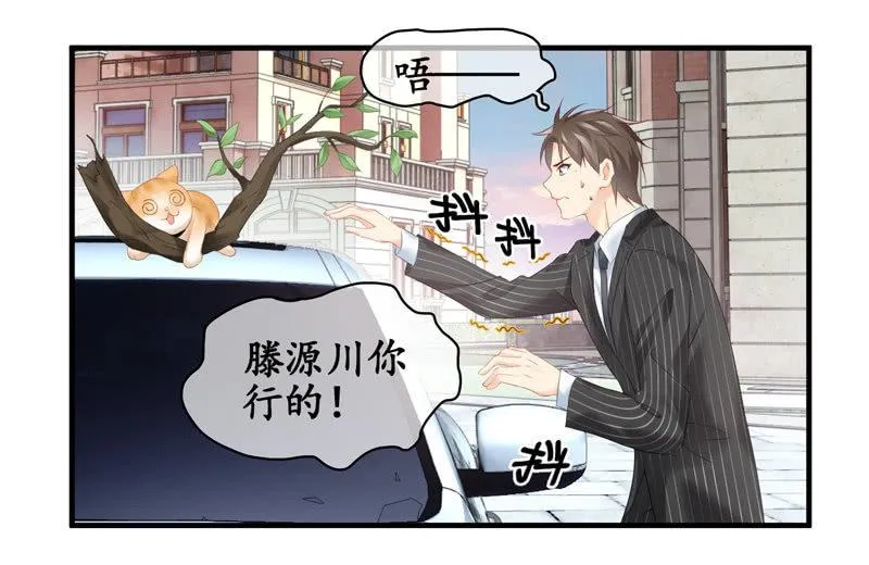 找到橘猫啦！ 第32页