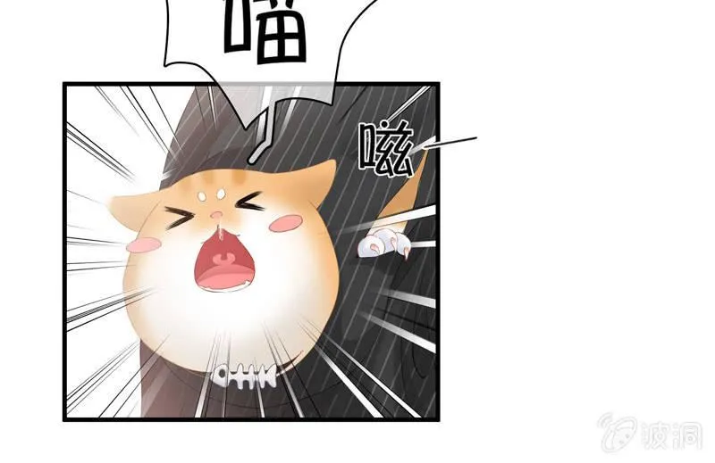 找到橘猫啦！ 第41页