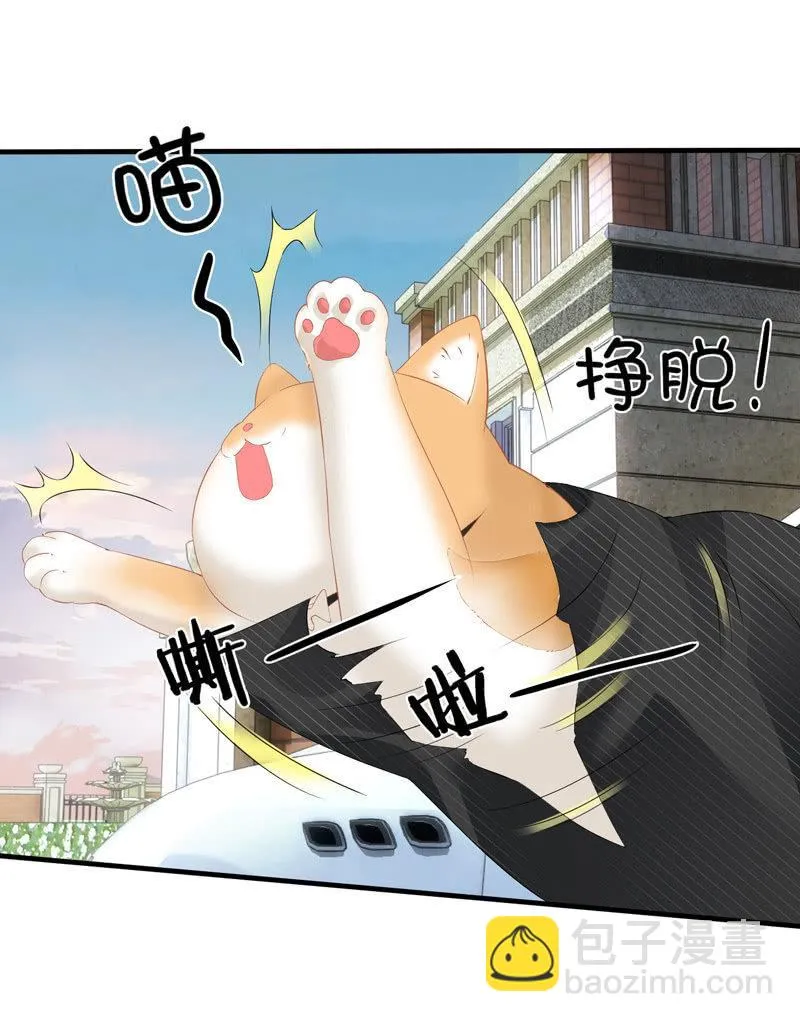 找到橘猫啦！ 第44页
