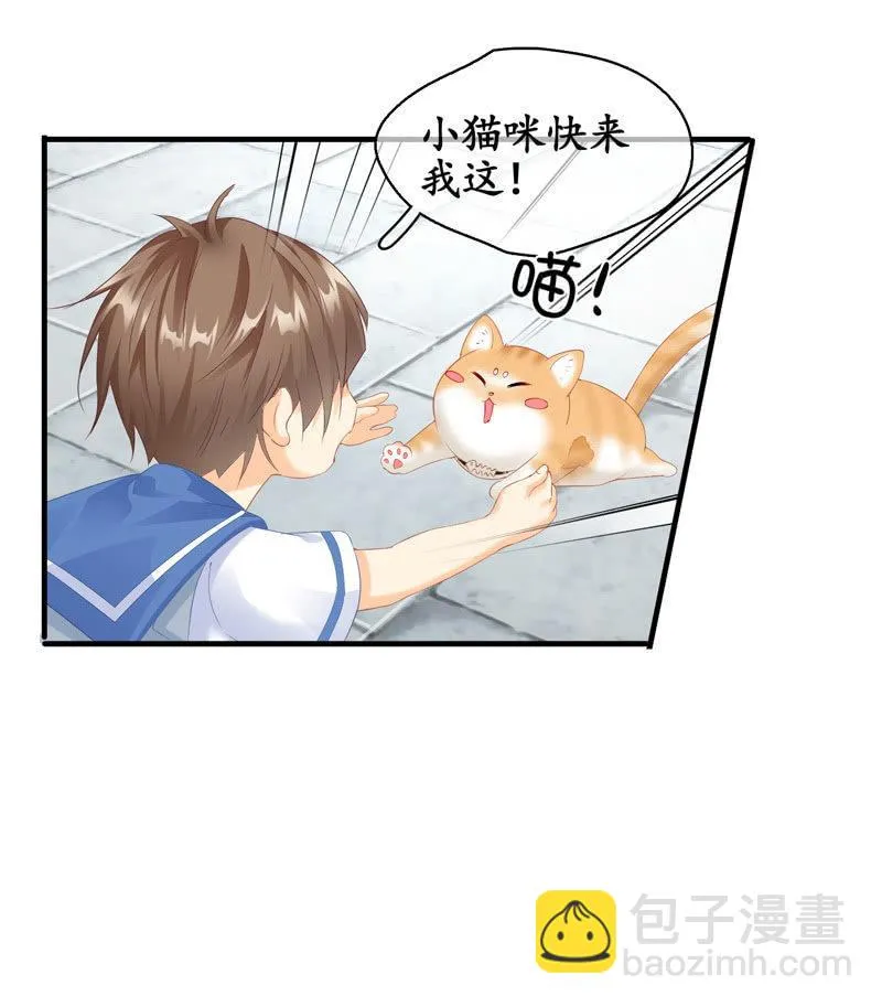找到橘猫啦！ 第46页