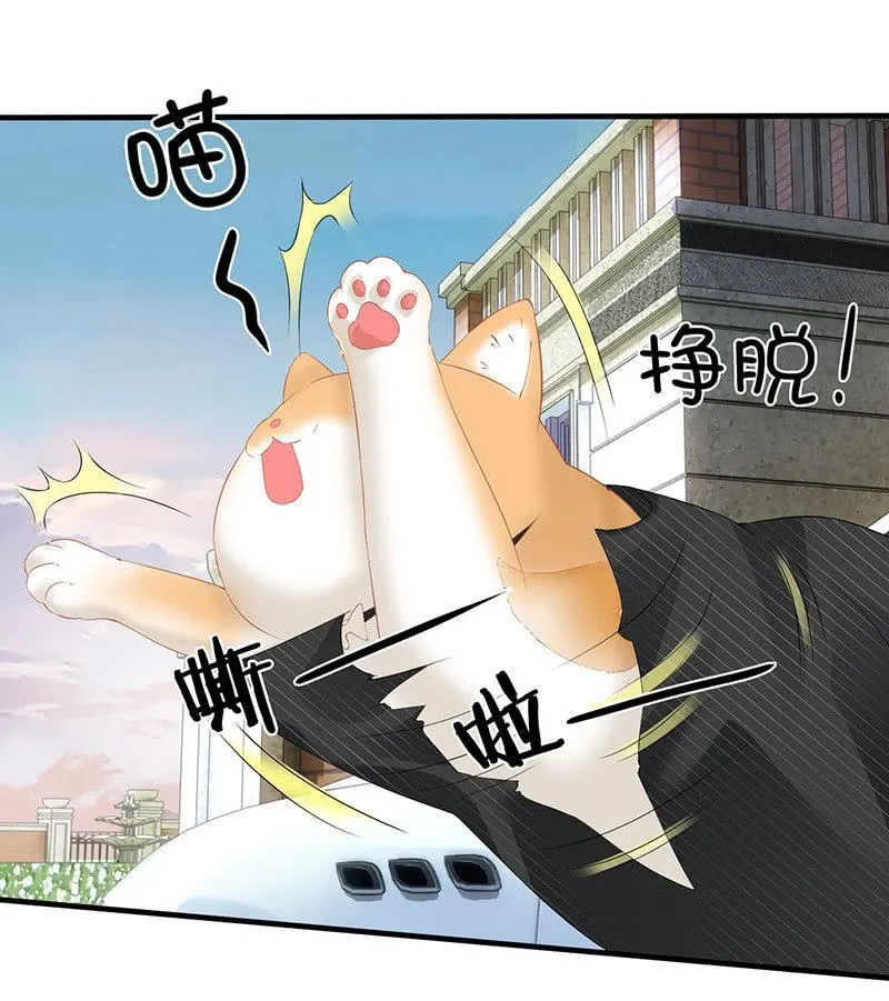 多出个儿子啦！！！ 第4页