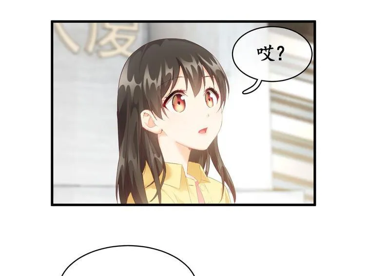 白辛的决定 第6页