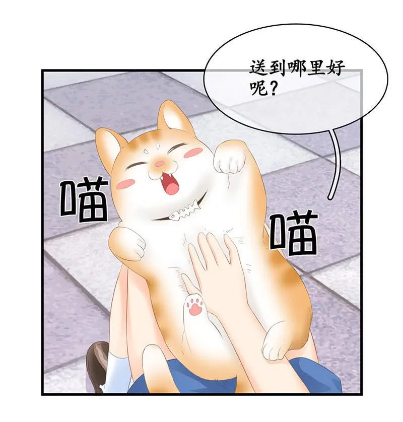小葵的偶遇 第24页