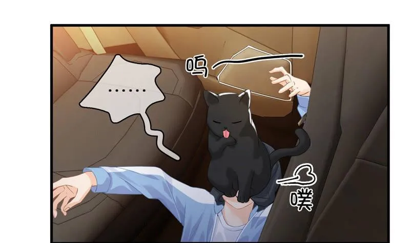 治愈天使 第36页