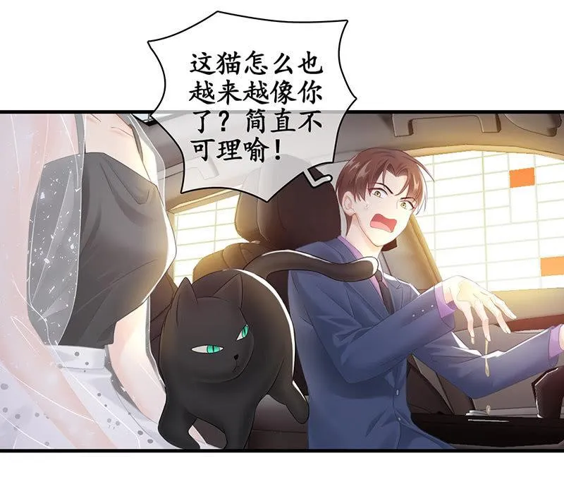 车上的争执 第26页