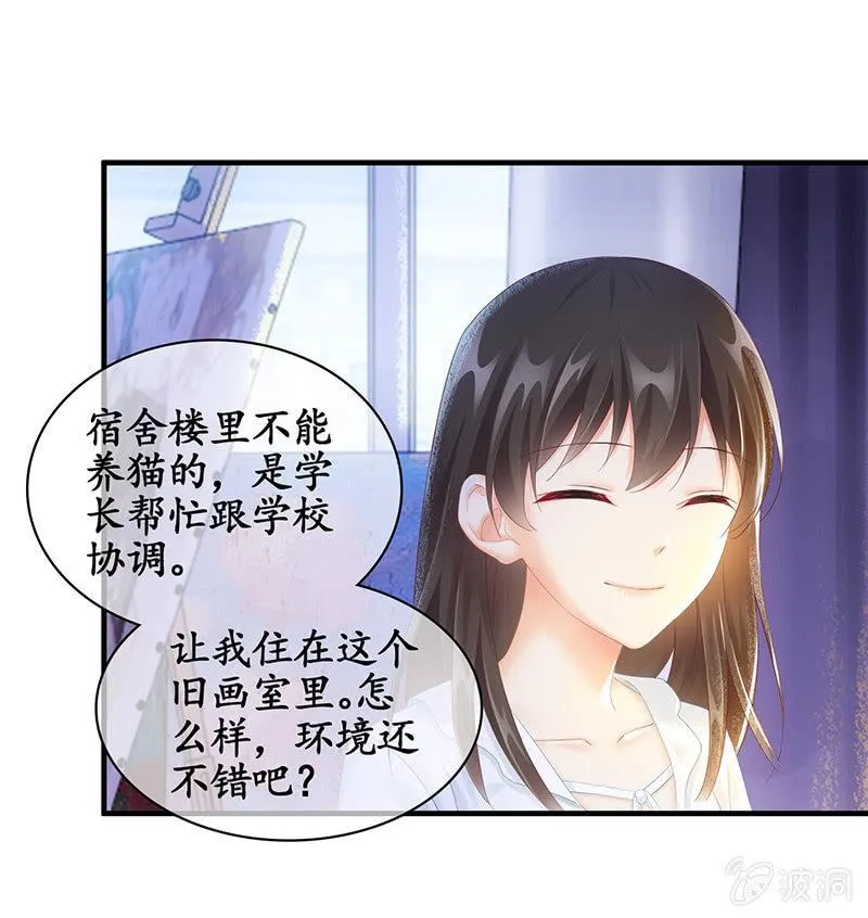 试探心意 第29页