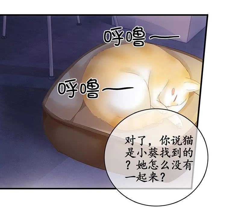 试探心意 第31页