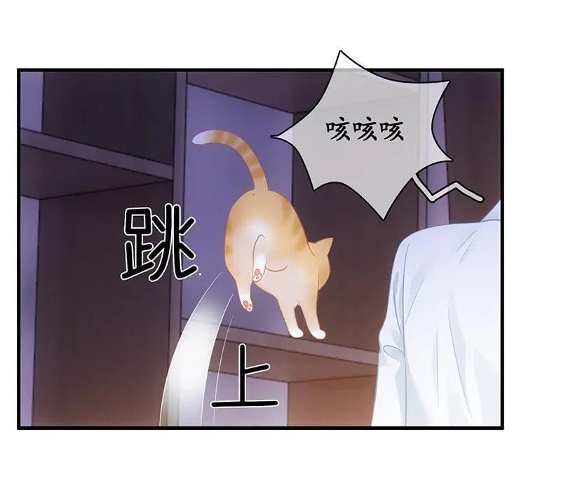 答案揭晓 第30页