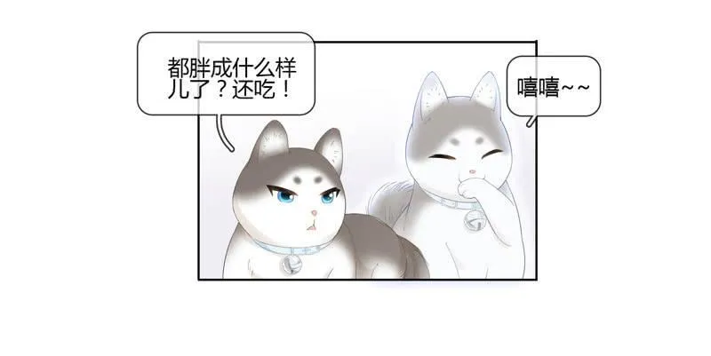 危机前奏 第51页