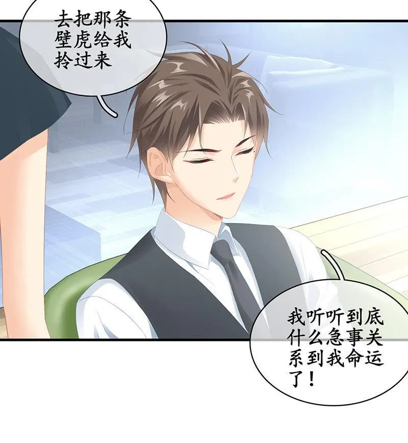 家室命运的讨论 第11页