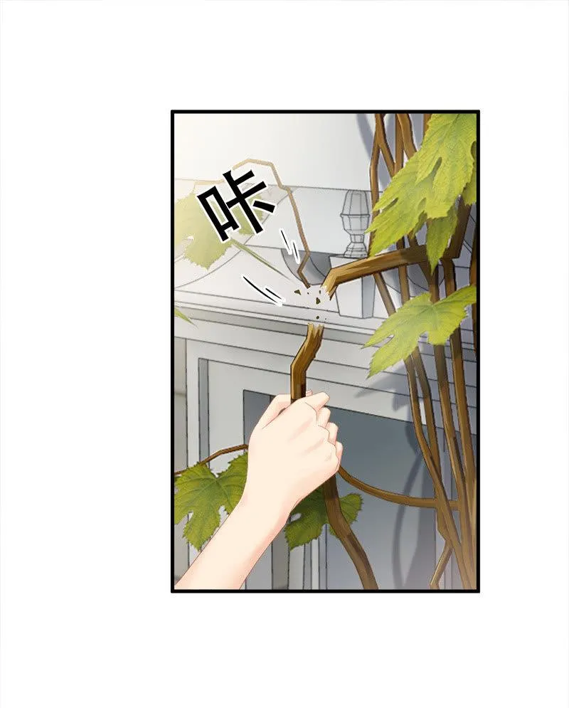 我不是无缘无故玩失踪的 第29页