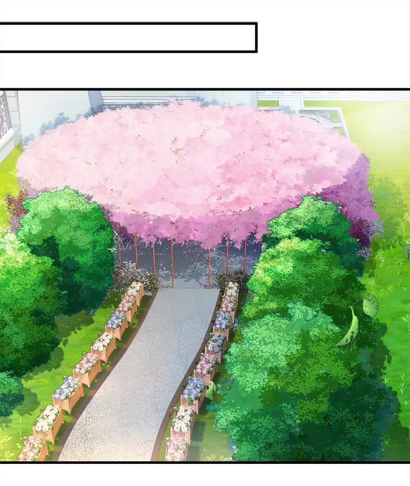 订婚宴 第19页