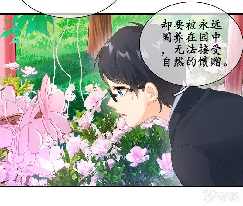 订婚宴 第21页