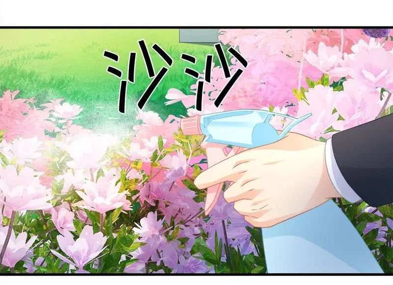 订婚宴 第22页