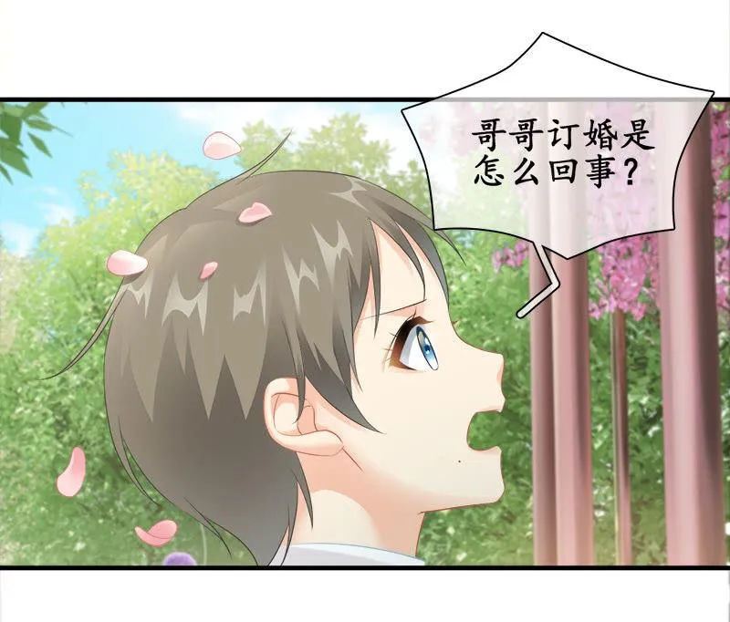 订婚宴 第27页