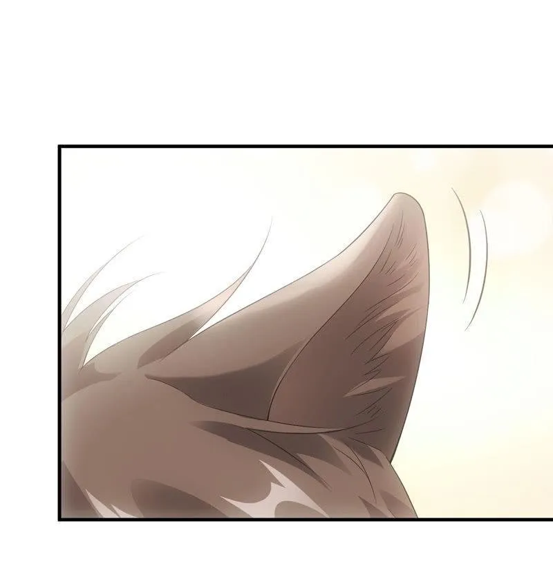 番外—猫耳2 第4页
