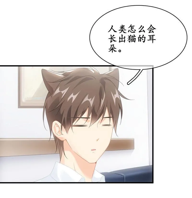 番外—猫耳2 第12页