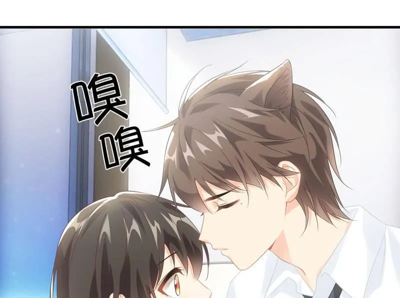 番外—猫耳2 第18页