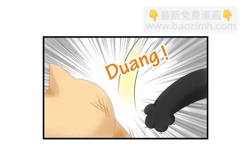 番外—猫耳2 第36页