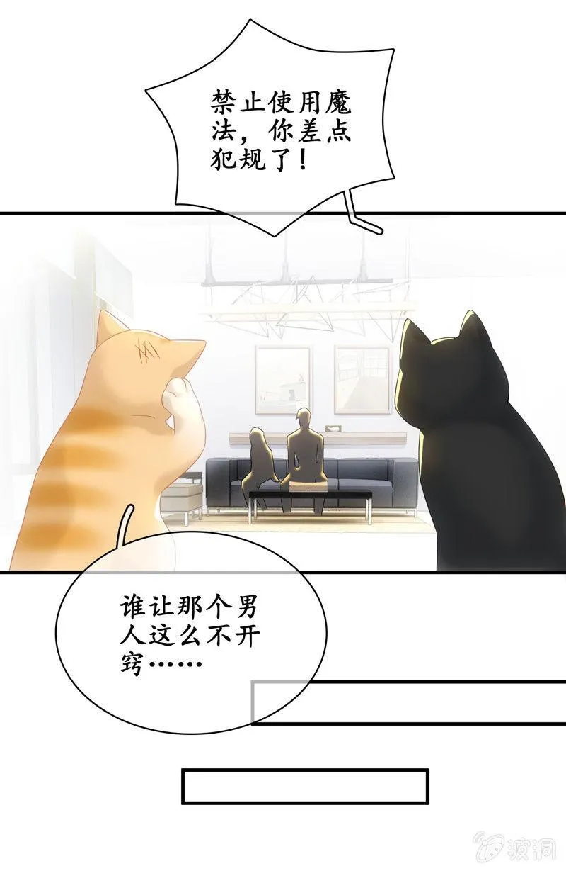 番外—猫耳2 第37页