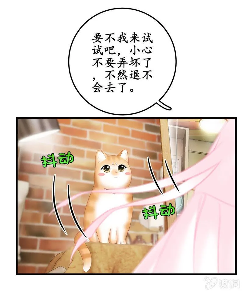 可爱着装！ 第61页