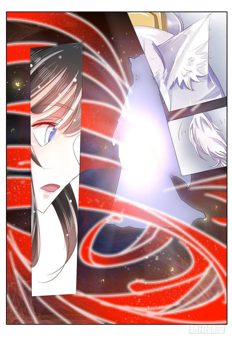 028：召出来的冷面帅犬！ 第7页