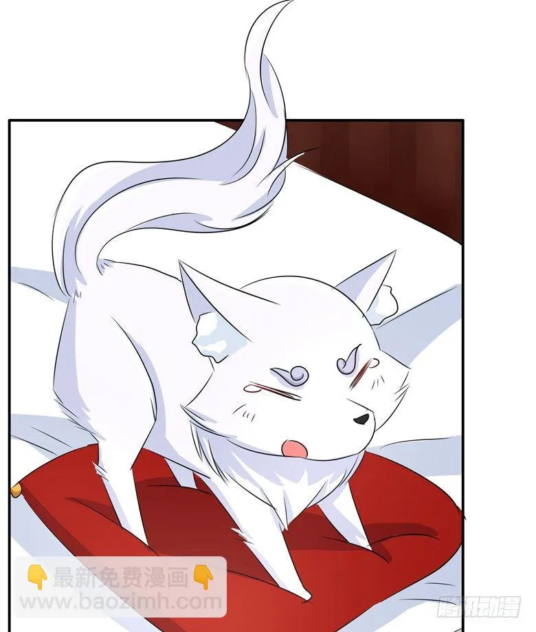 067：小白青司 第33页