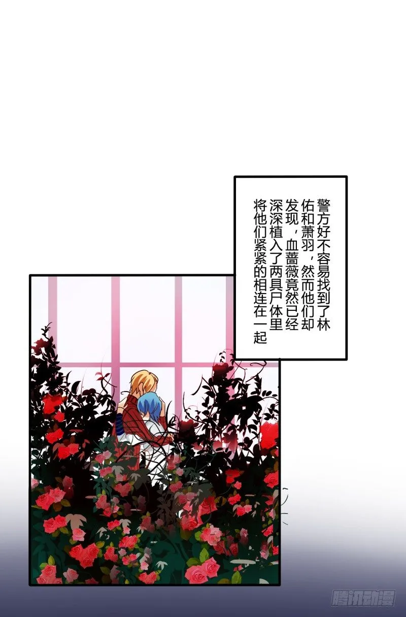 花儿与少年（4） 第37页