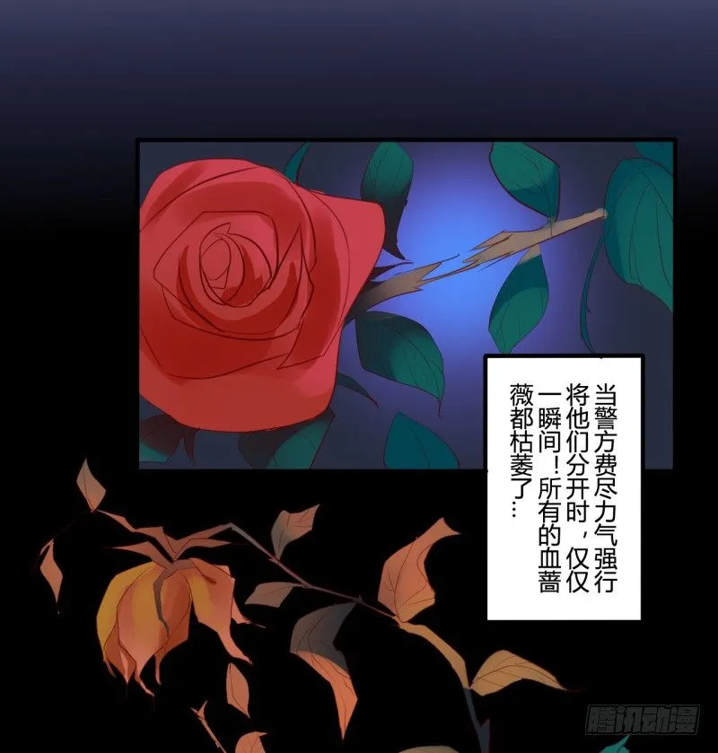 花儿与少年（4） 第38页