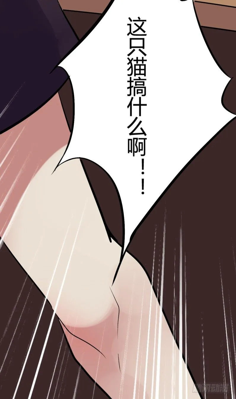 猫的报恩（2） 第22页