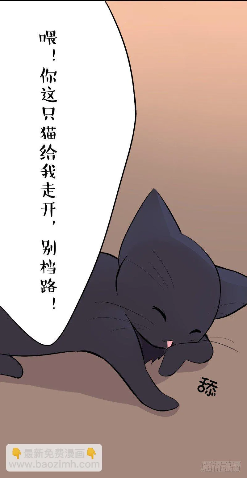 猫的报恩（3） 第16页