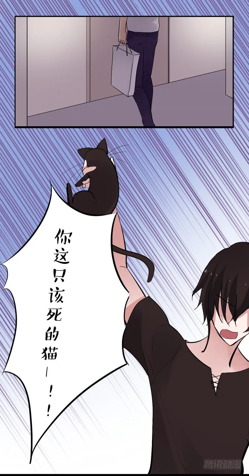 猫的报恩（3） 第28页