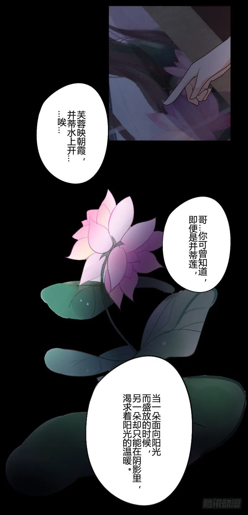 并蒂莲（1） 第23页