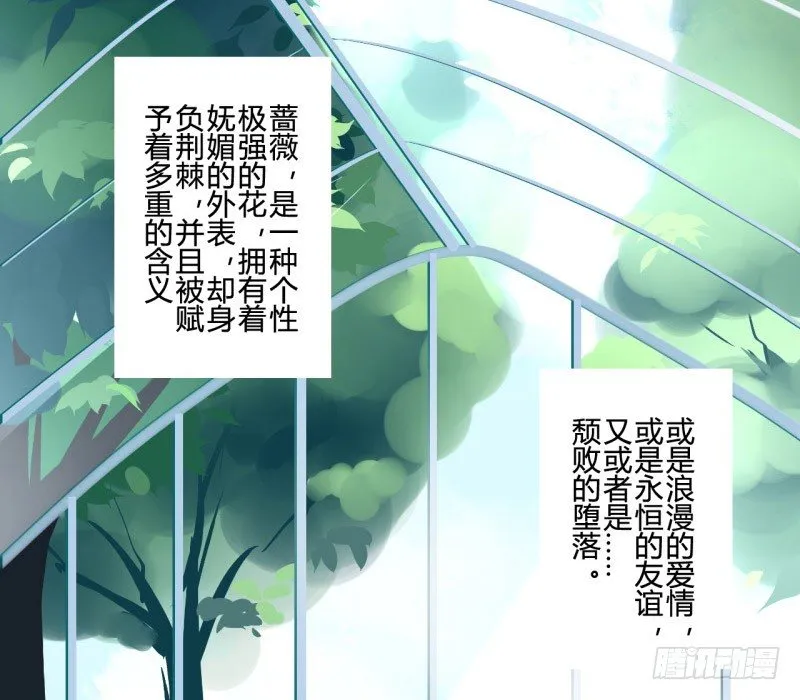 花儿与少年（1） 第7页