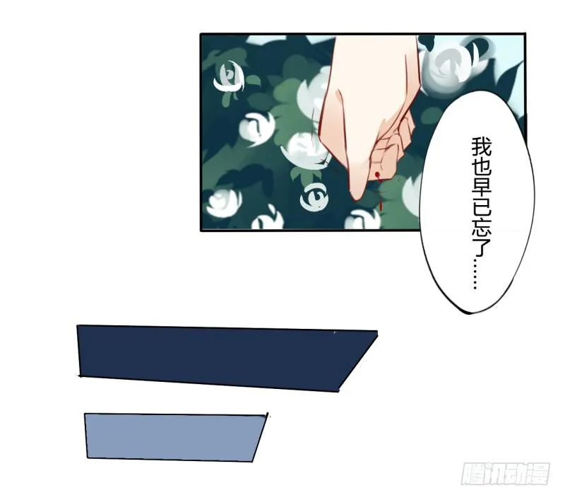 花儿与少年（1） 第41页