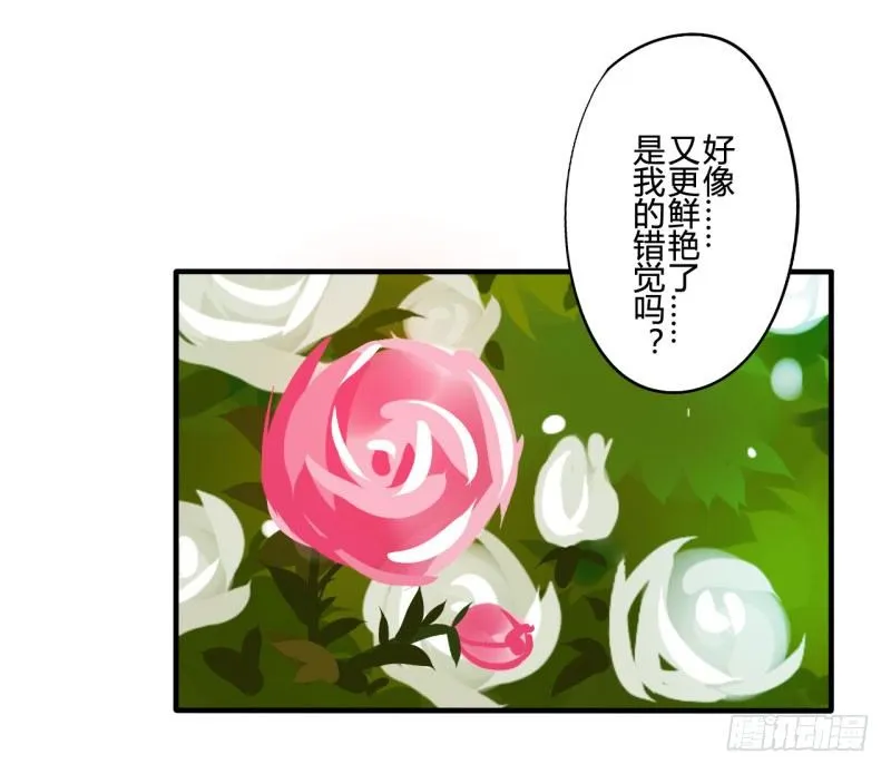 花儿与少年（2） 第3页